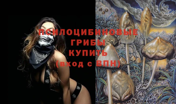 трава Абаза